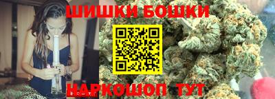 индика Новозыбков