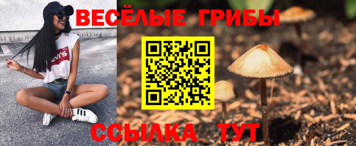 Псилоцибиновые грибы Magic Shrooms Обь